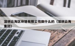 深圳云海区块链有限公司做什么的（深圳云海集团）