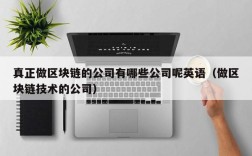 真正做区块链的公司有哪些公司呢英语（做区块链技术的公司）