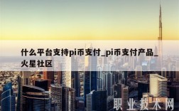 什么平台支持pi币支付