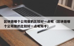 区块链哪个公司做的比较好一点呢（区块链哪个公司做的比较好一点呢知乎）