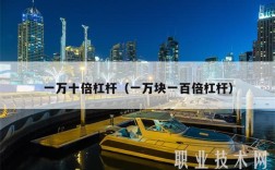 一万十倍杠杆（一万块一百倍杠杆）
