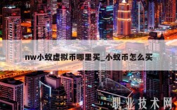 nw小蚁虚拟币哪里买