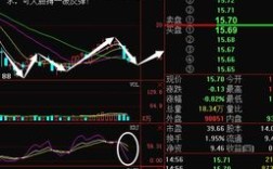支付概念相关股票有哪些内容.企业股利支付方式主要有 A现金股利B财产股利C负债股利D股票股利