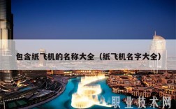 包含纸飞机的名称大全（纸飞机名字大全）
