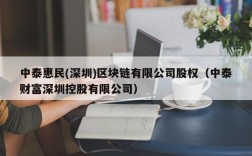 中泰惠民(深圳)区块链有限公司股权（中泰财富深圳控股有限公司）