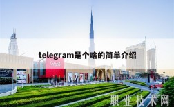 tlgram是个啥的简单介绍