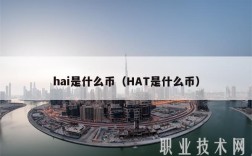 hai是什么币（HAT是什么币）