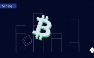全球热门主流货币冷钱包下载