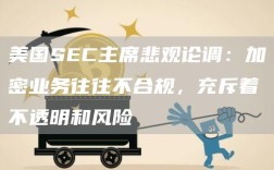 美国SEC主席悲观论调：加密业务往往不合规，充斥着不透明和风险