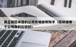 真正做区块链的公司有哪些呢知乎（区块链哪个公司做的比较好）