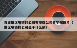 真正做区块链的公司有哪些公司名字呢图片（做区块链的公司是干什么的）