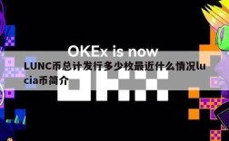 LUNC币总计发行多少枚最近什么情况lucia币简介