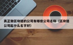 真正做区块链的公司有哪些公司名称（区块链公司起什么名字好）
