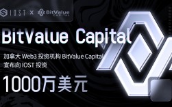 加拿大 Web3 投资机构 BitValue Capital 宣布向 IOST 投资1000万美元