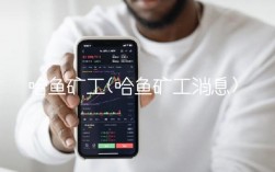 哈鱼矿工(哈鱼矿工消息)