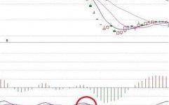 大股东占用资产被st的股票有哪些--ST的股有什么含意？