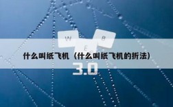 什么叫纸飞机（什么叫纸飞机的折法）