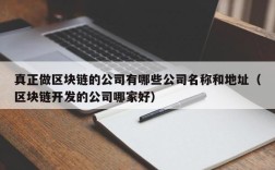 真正做区块链的公司有哪些公司名称和地址（区块链开发的公司哪家好）