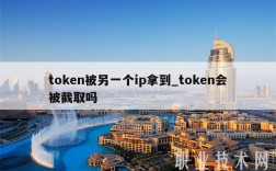 tokn被另一个ip拿到