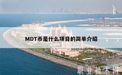 MDT币是什么项目的简单介绍