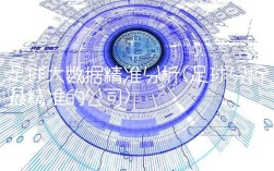 足球大数据精准分析(足球分析最精准的公司)