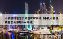 小狐狸钱包怎么添加BSC网络（手机小狐狸钱包怎么添加bsc网络）