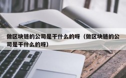 做区块链的公司是干什么的呀（做区块链的公司是干什么的呀）