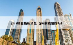 pus钱包最新消息（pu的钱包好吗）
