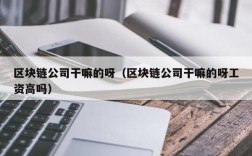 区块链公司干嘛的呀（区块链公司干嘛的呀工资高吗）