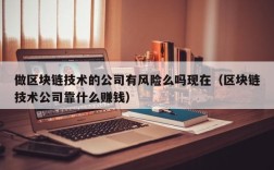 做区块链技术的公司有风险么吗现在（区块链技术公司靠什么赚钱）