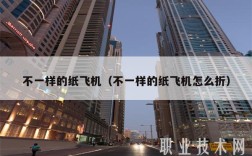 不一样的纸飞机（不一样的纸飞机怎么折）