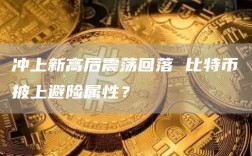 冲上新高后震荡回落 比特币披上避险属性？