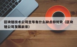 区块链技术公司主导有什么缺点和优势（区块链公司发展前景）