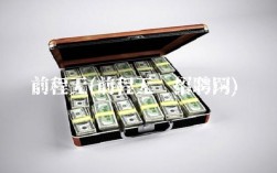 前程无(前程无忧招聘网)