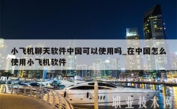 小飞机聊天软件中国可以使用吗