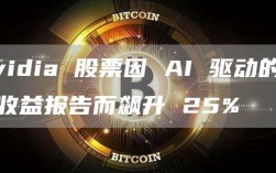 Nvidia 股票因 AI 驱动的丰厚收益报告而飙升 25%