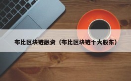 布比区块链融资（布比区块链十大股东）