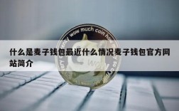 什么是麦子钱包最近什么情况麦子钱包官方网站简介