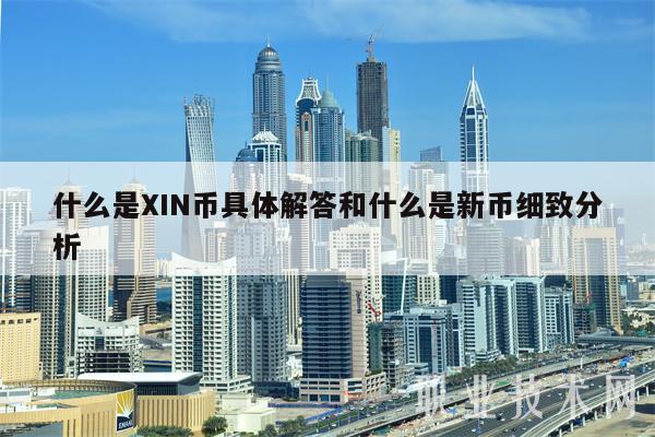 什么是IN币具体解答和什么是新币细致分析-图1