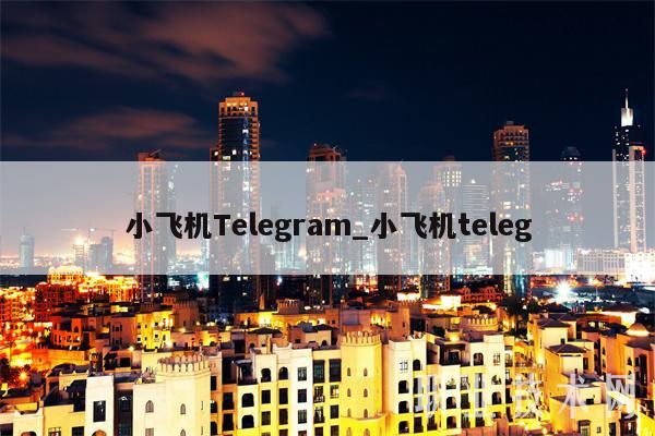 小飞机Tlgram-图1