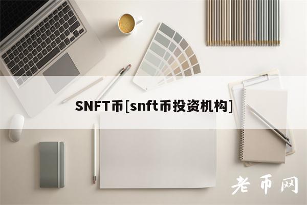SNFT币[snft币投资机构]-图1