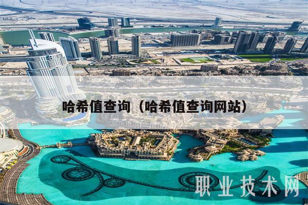 哈希值查询（哈希值查询网站）-图1