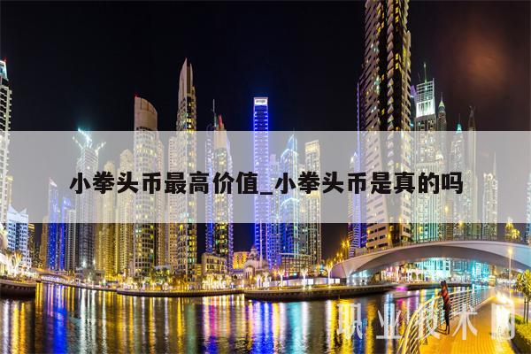 小拳头币最高价值-图1