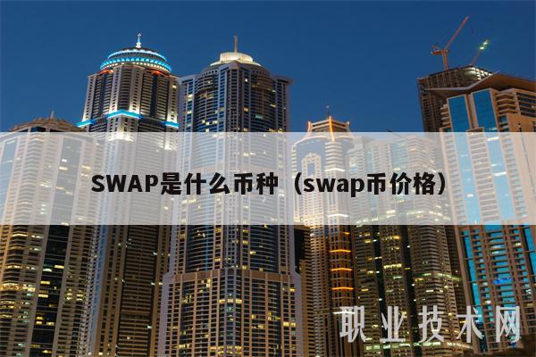 SWAP是什么币种（swap币价格）-图1