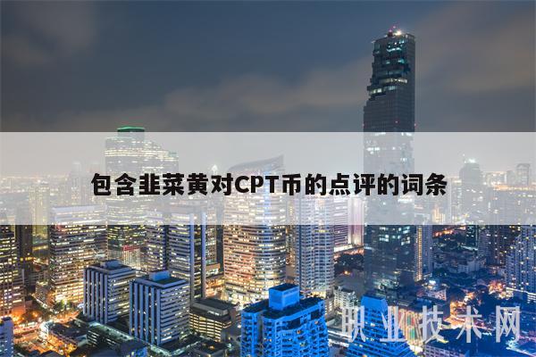 包含韭菜黄对CPT币的点评的词条-图1