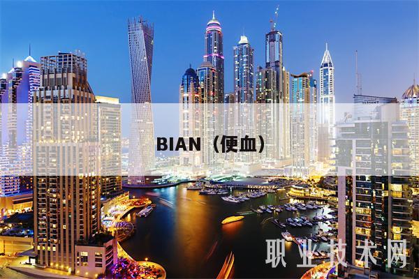 BIAN（便血）-图1