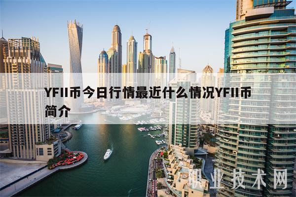 YFII币今日行情最近什么情况YFII币简介-图1