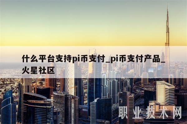什么平台支持pi币支付-图1