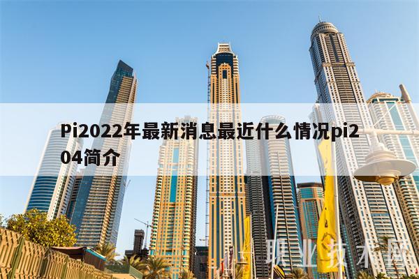 Pi2022年最新消息最近什么情况pi204简介-图1