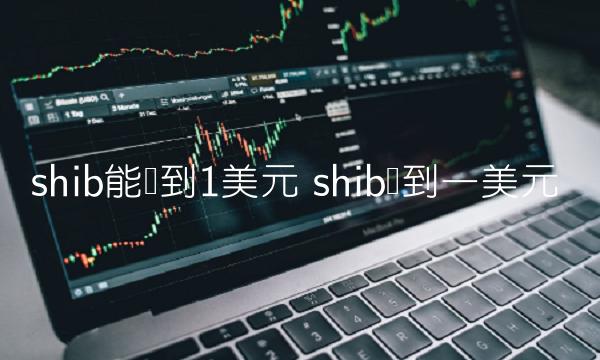 shib能涨到1美元-图1